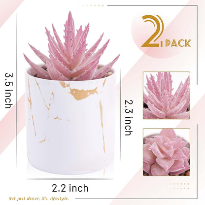Set of 2 Succulents Plants Artificial Mini Fake Succulents Plants for Office Desk Accessories