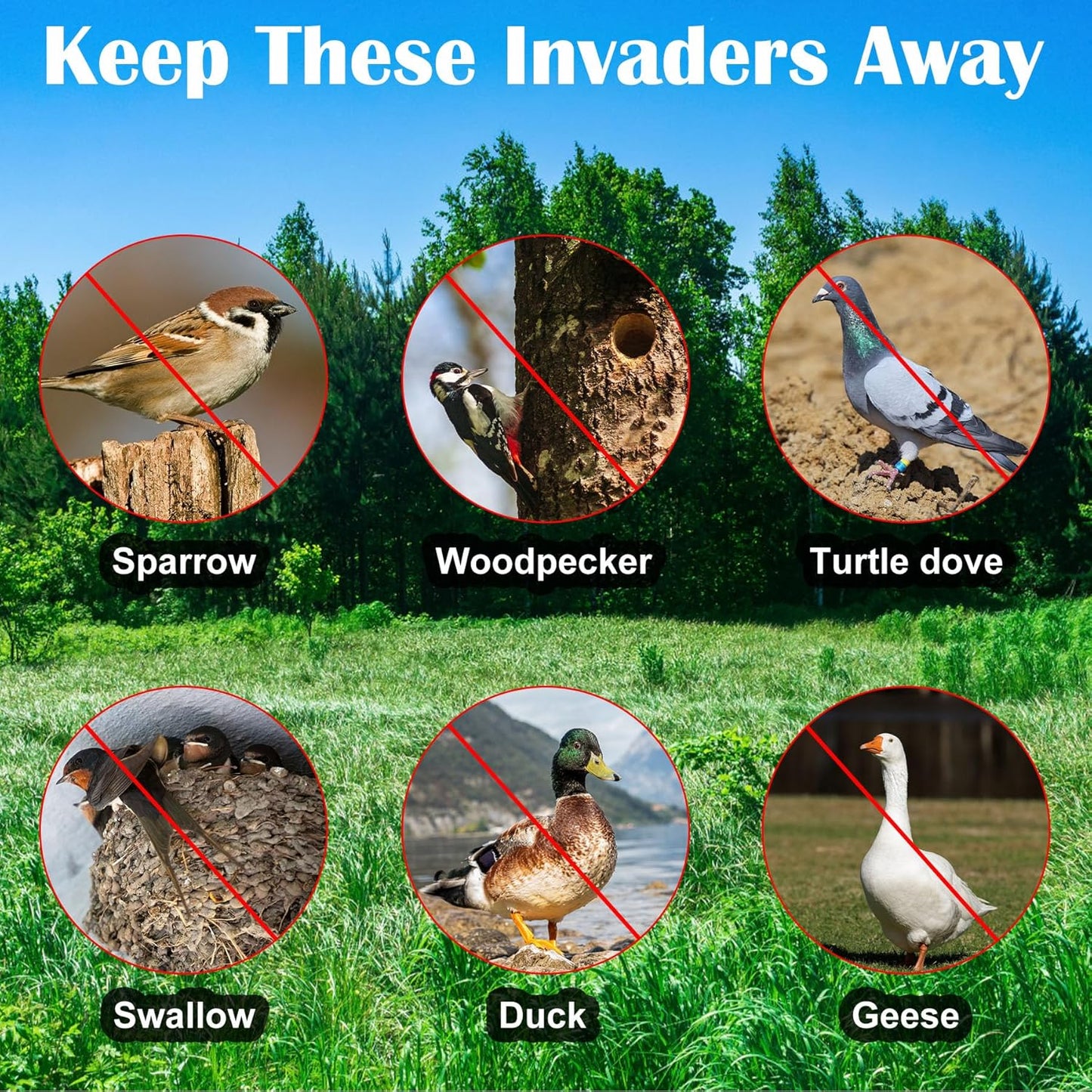 Effective Birds Scare Ribbon Reflective Flash Reflectors to Keep Pigeons Hawks Woodpeckers