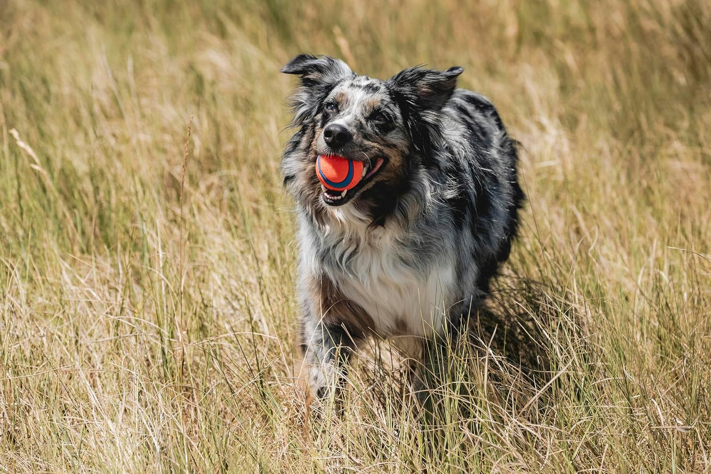 Ball Dog Toy  Medium Bouncy Fetch Balls For Dogs 20-60 lbs  Made from Durable Rubber  Floating Water Pet Toys